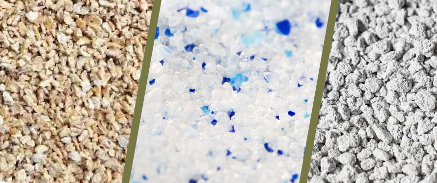 Quelle est la meilleure litière pour chat ? Silice, végétale, agglomérante…